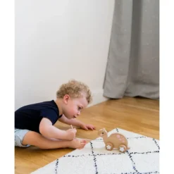 Kindsgut Ziehtier "Schildkröte" - Ab 10 Monaten -Pinolino shop kindsgut ziehtier schildkrote ab 10 monaten 2